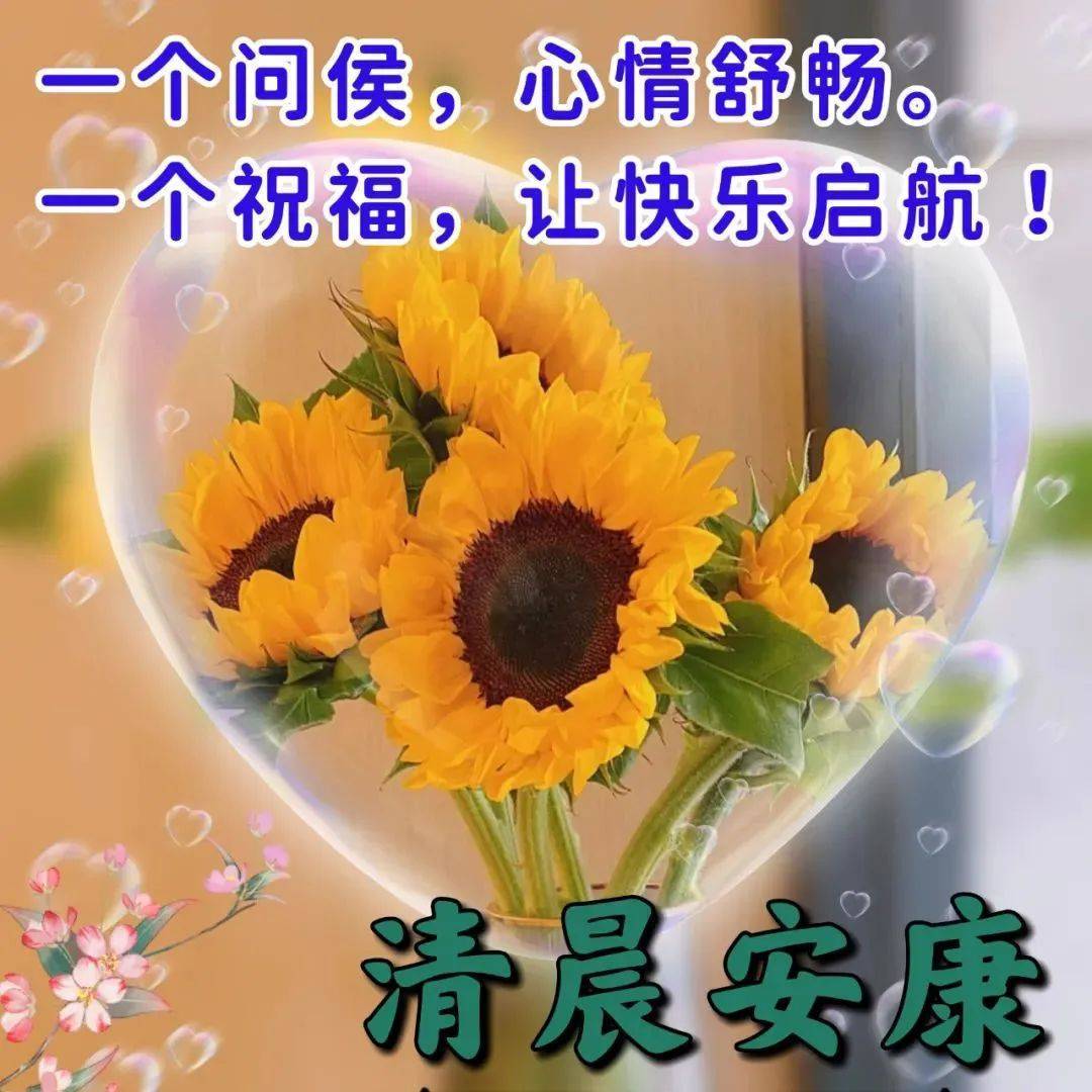 酷狗音乐直播下载app_酷狗音乐直播下载安装_下载酷狗直播2022最新版音乐