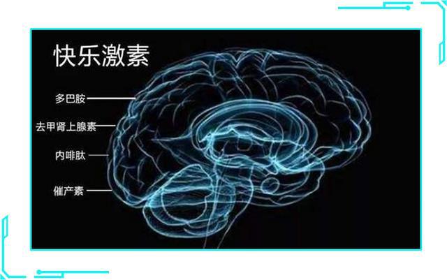 用字玩的解谜手机游戏_手机文字解谜游戏_解谜文字小游戏