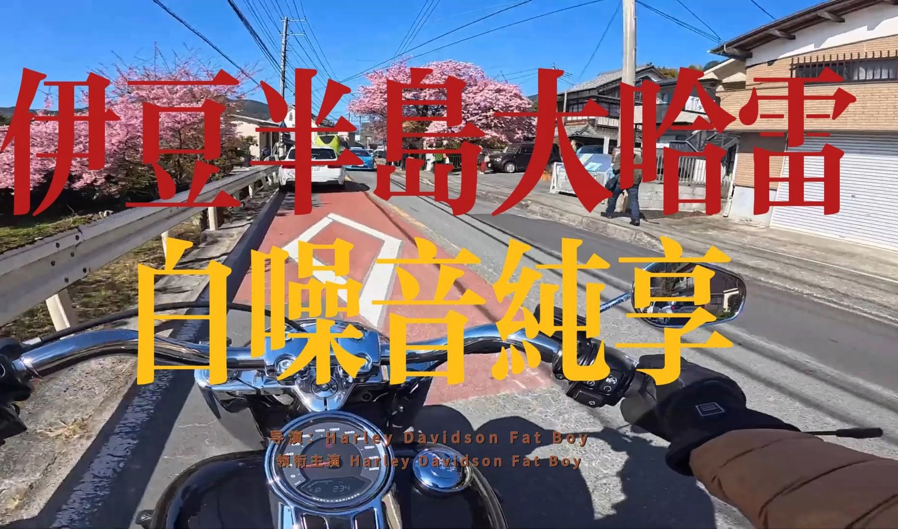 伊豆攻略游戏手机_手机最坑爹的游戏9攻略大全_手机坑爹游戏3攻略12