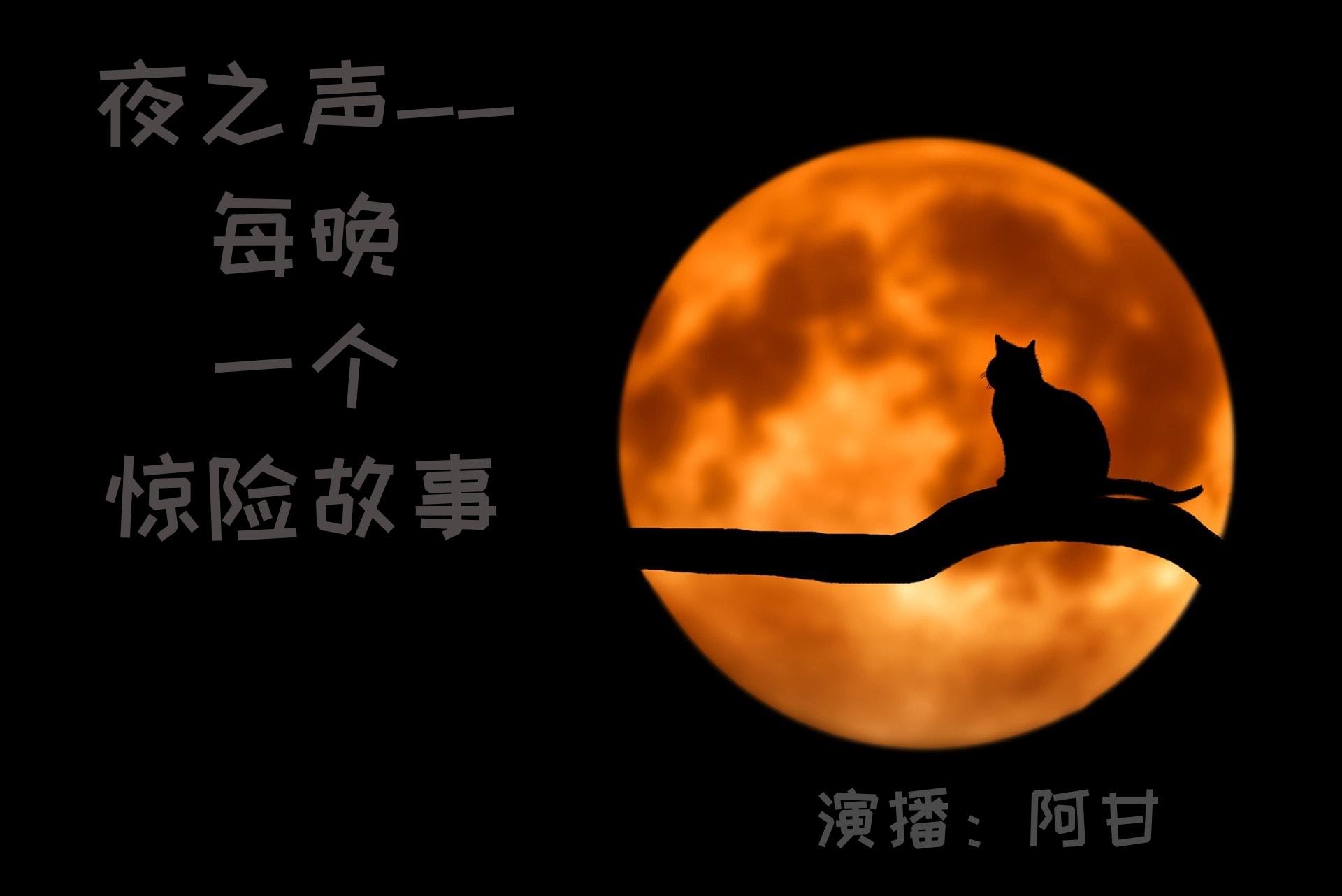 中村绘里子_绘里是什么意思_绘里是谁