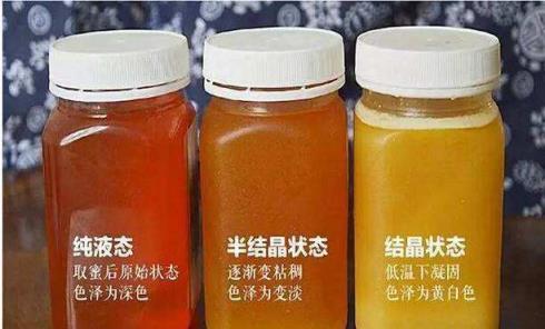 动物横町_江戸牛込馬場下横町_阿美横町