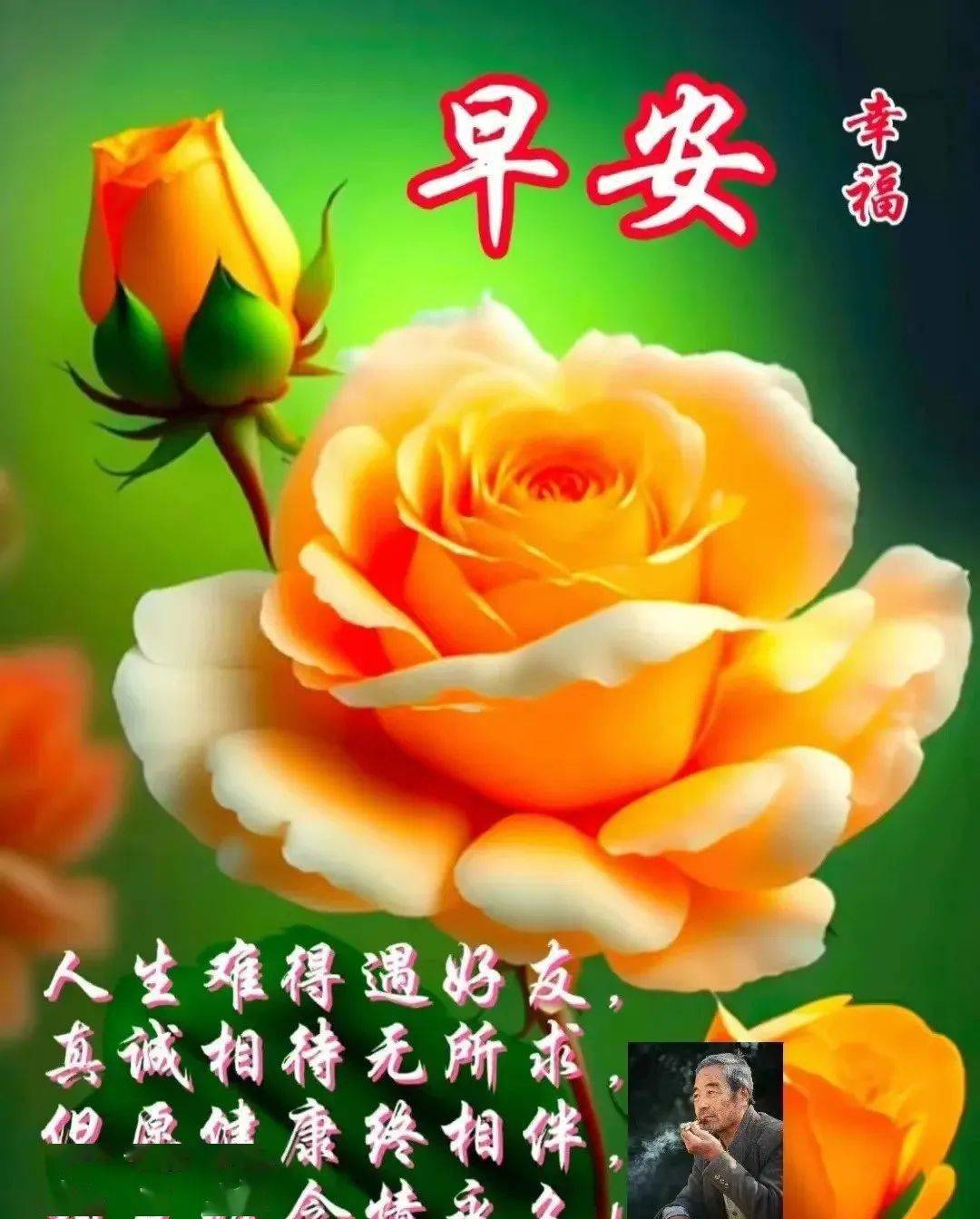 莉亚梅森_梅莉亚_梅晓郡梅晓夏