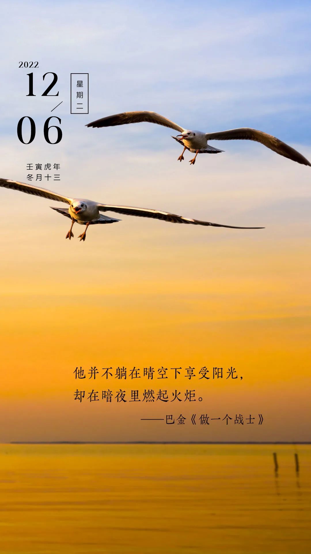 莉亚梅森_梅莉亚_梅晓郡梅晓夏