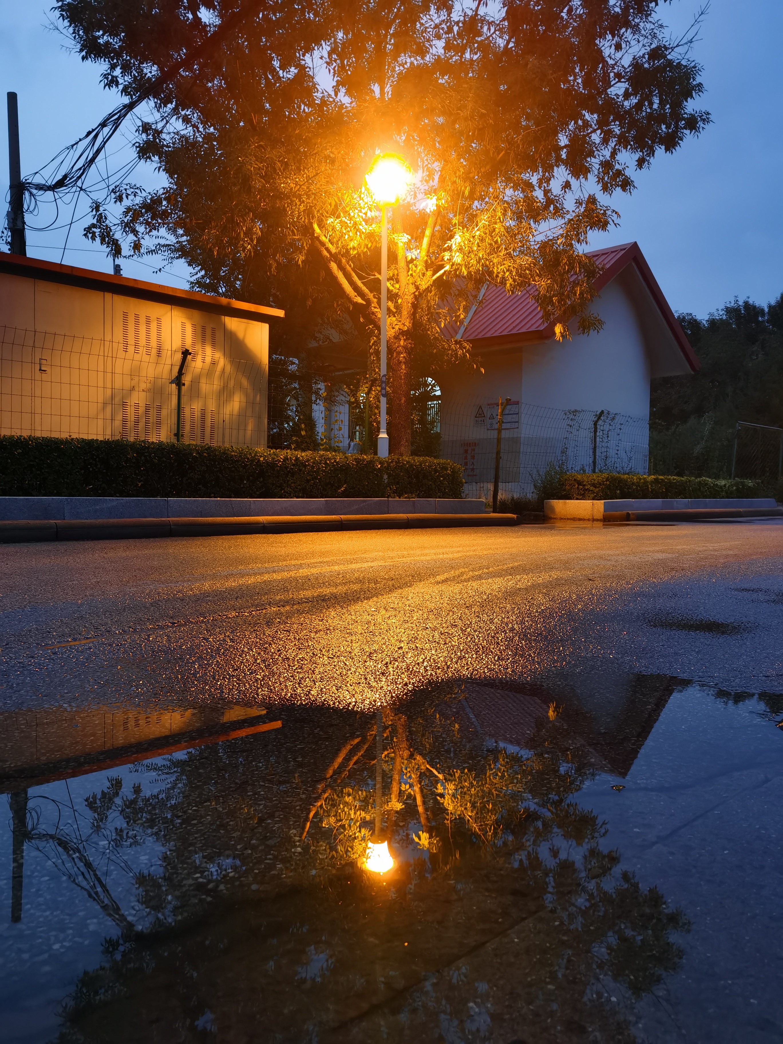 雨天梅花的诗文_雨天梅花的文案_梅雨天