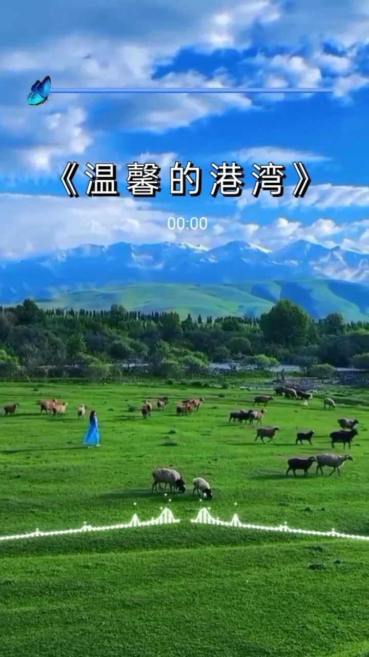 空洞骑士神居者_神居空洞骑士_空洞骑士神居