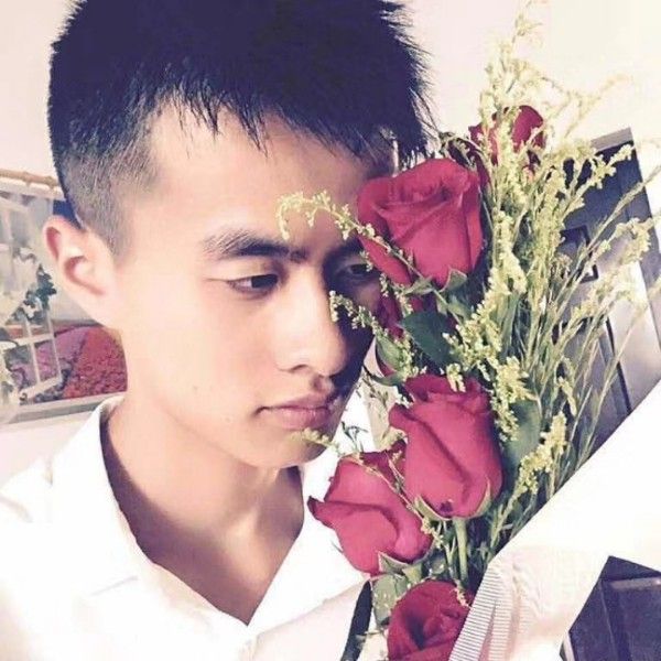 鬼脸獒王vs狮子视频_狮子王1_大象的图片狮子和狮子图片
