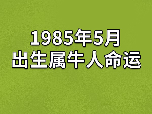 属年的今年多大_1985年属什么_属年1994
