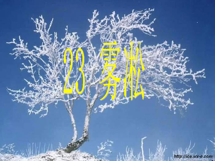 我想问一下今天是三九的第几天_今天是三九第几天_今天是三九是什么意思
