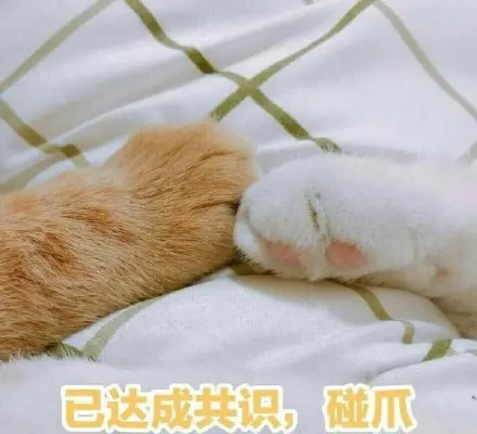 游戏联机大全校园手机推荐_校园游戏手机联机游戏大全_游戏联机大全校园手机app