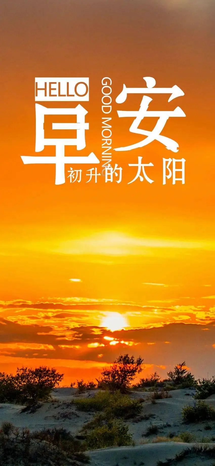 隐形养成手机游戏有哪些_隐形手机游戏养成_隐形小游戏