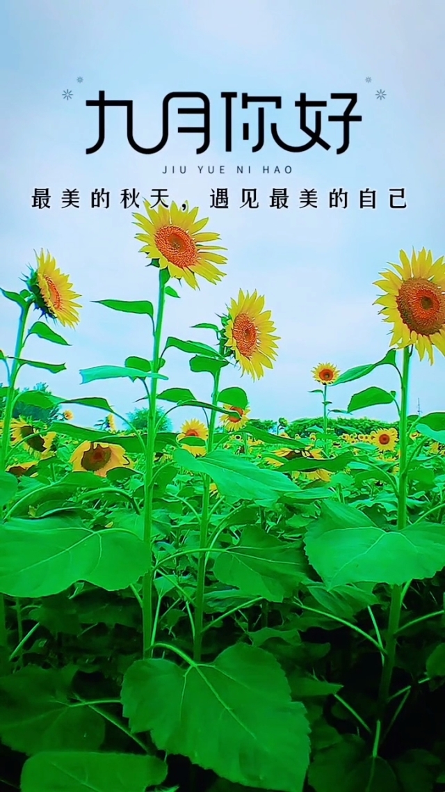 男十月初一女十月十五_十月二十_十月十月微微凉的微博