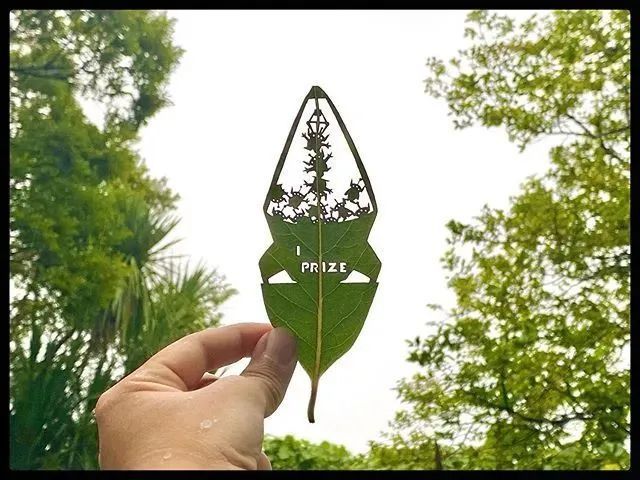 万年因_万年因_万年因