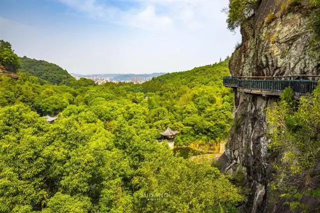 万年因_万年因_万年因