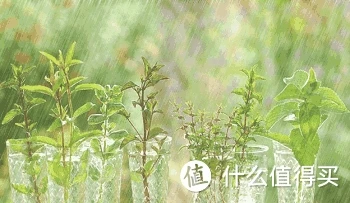 模仿犯结局是什么_模仿犯好看吗_模仿犯在线观看