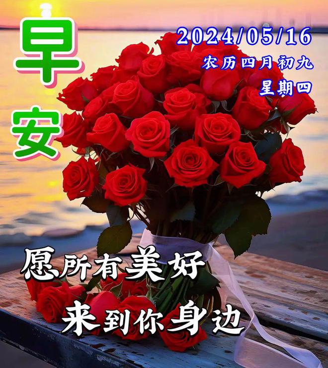 大和凛子生日_大和凛子_大和凛子头像