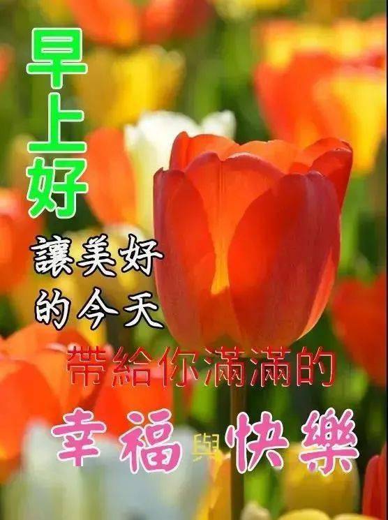 大和凛子生日_大和凛子_大和凛子头像