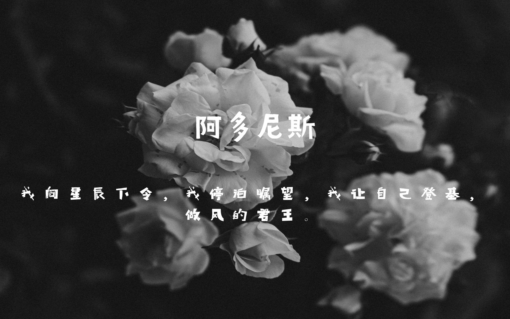 歌词让风告诉他_让风告诉你_风告诉我