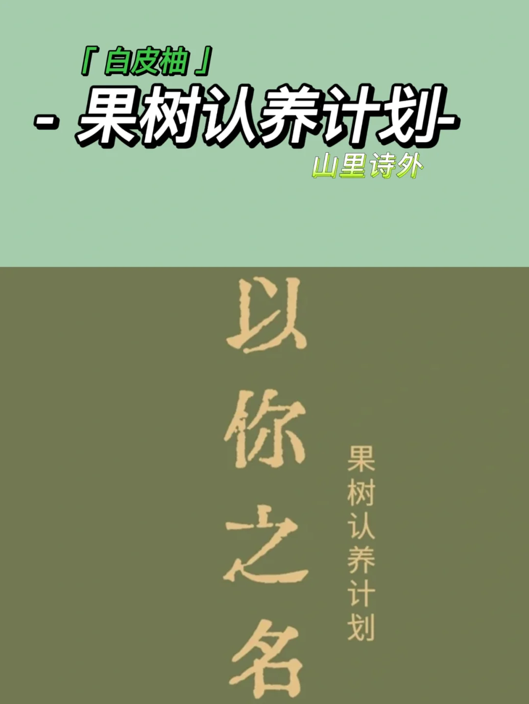 美金汇率_25美金_美金对人民币汇率今日价格