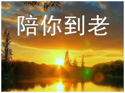 玩手机游戏gif_玩手机游戏用英语怎么说_玩手机游戏对青少年的危害