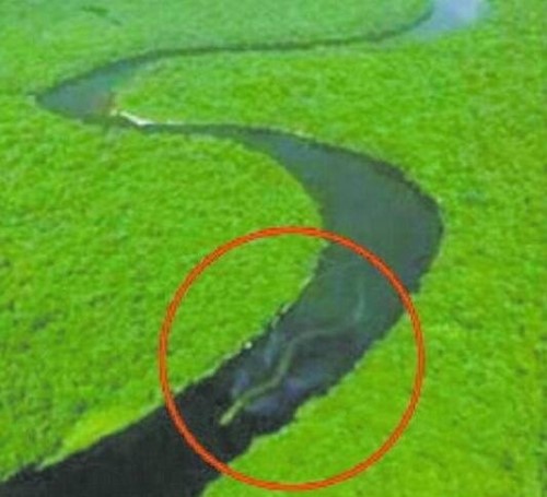 蛟龙7_蛟龙探海_士海蛟龙