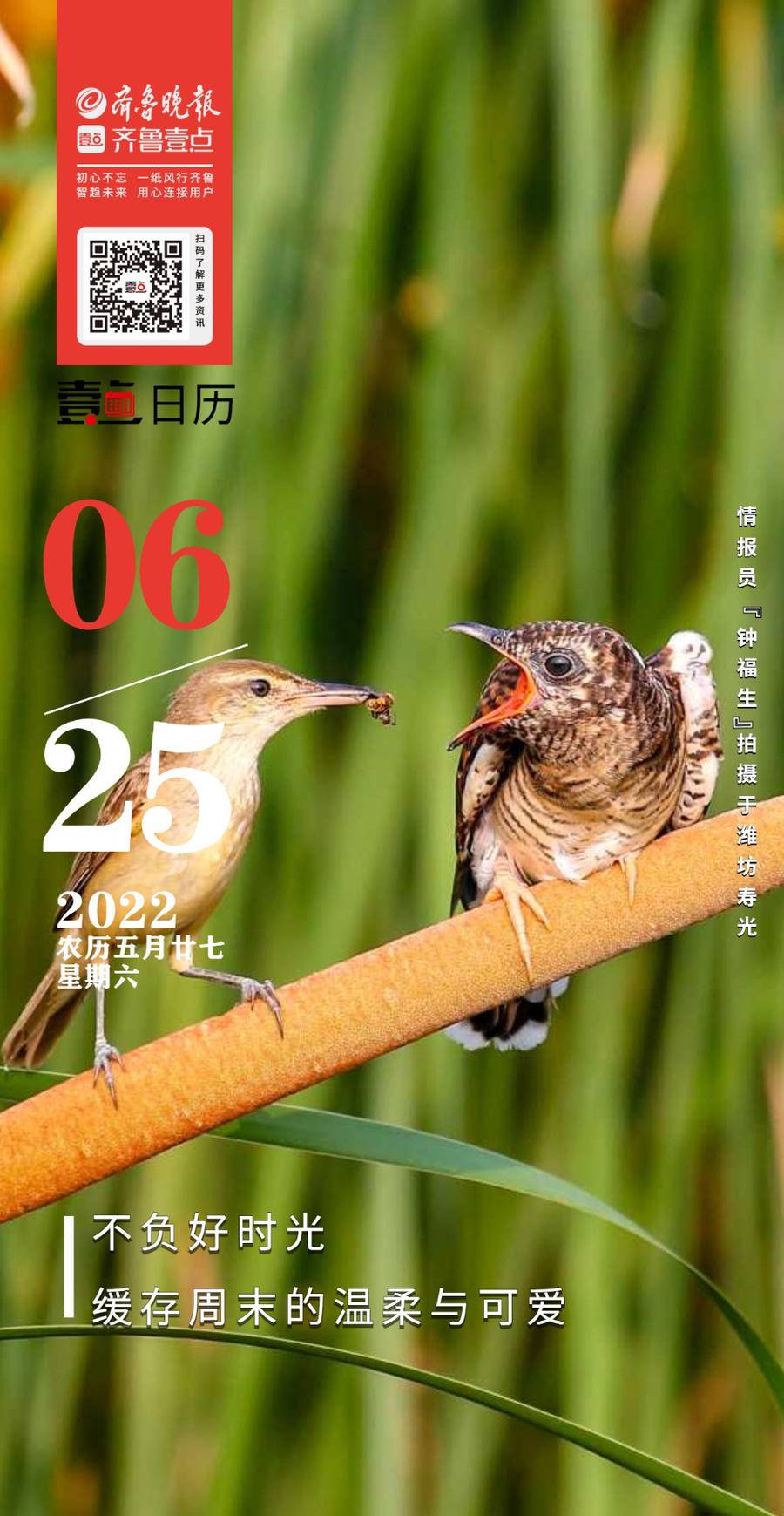 1975年日历_日历年什么意思_日历年和自然年