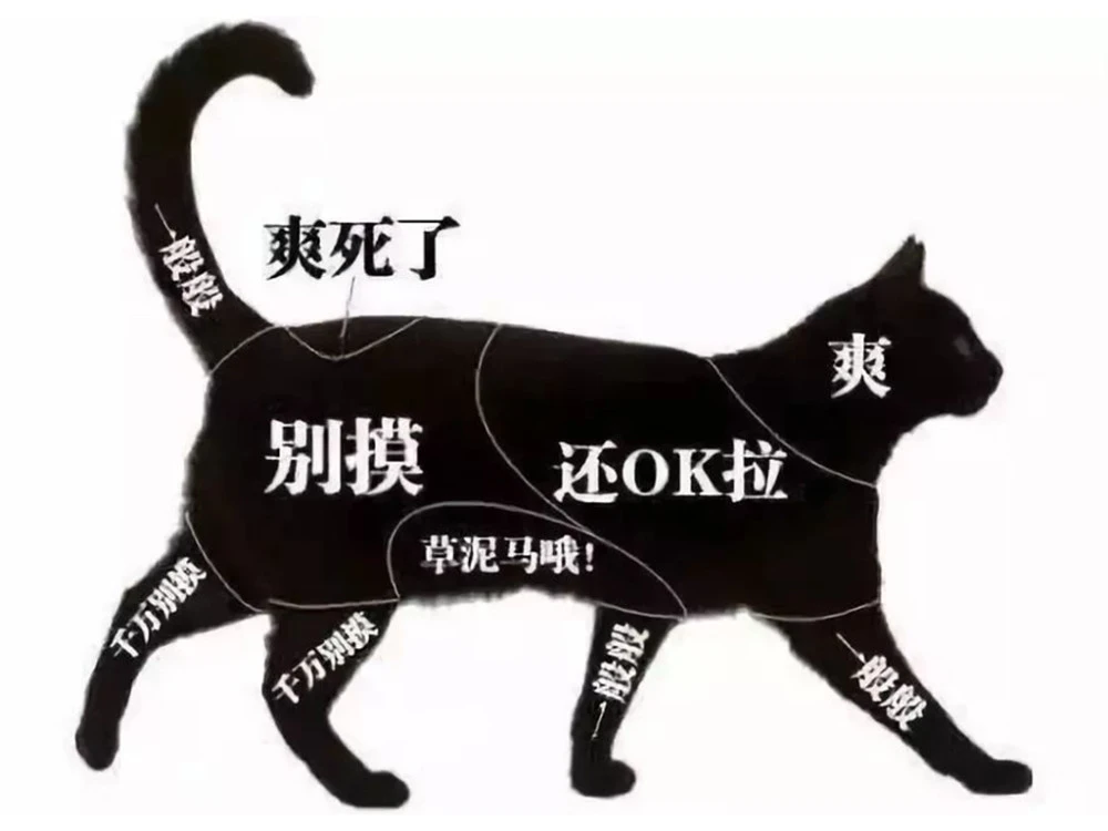 腾讯mmo游戏_腾讯猫咪_腾讯手机游戏猫