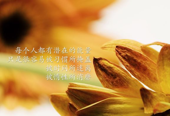 姆克鹰_姆克鹰_姆克鹰