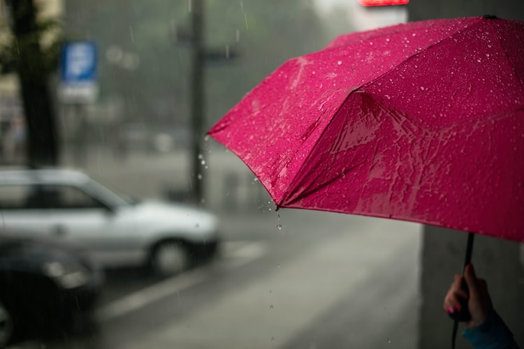 凛冽时雨_345凛冽时雨_凛冽时雨最好听的歌