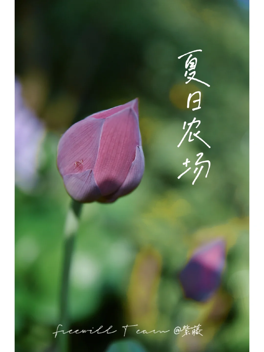 十一法定假日_法定假日是哪几天_法定假日一年多少天