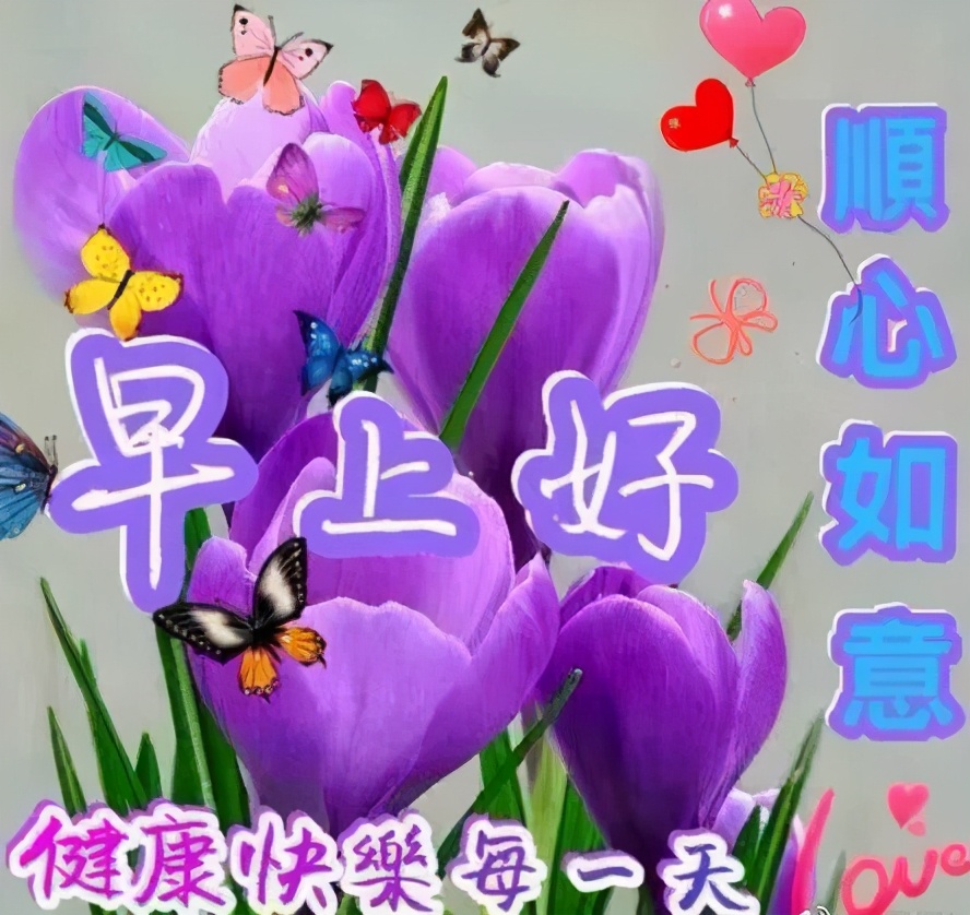 痴笑姬_痴笑姬_痴笑姬