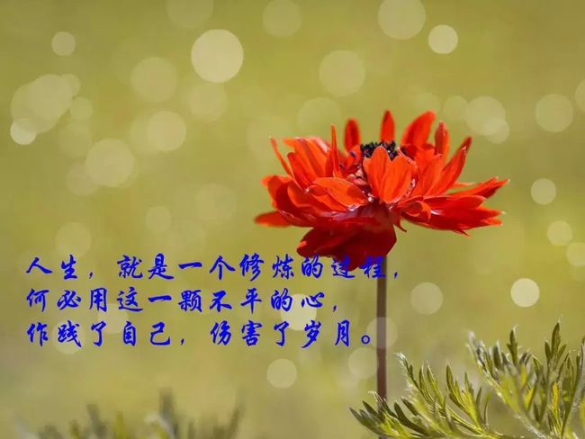 几九了_今天是二月几九_几九今天是几九