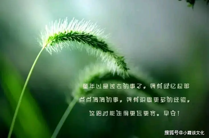 游戏手机电台_电台直播游戏_电台小游戏