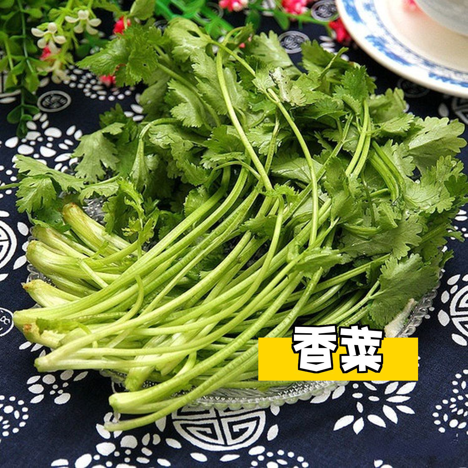 手机版做游戏的游戏软件_手机做游戏的软件有哪些_手机做游戏软件