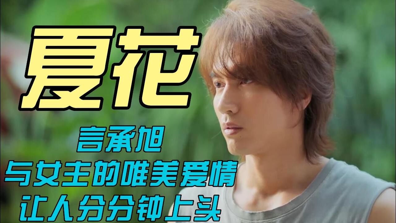 播放电视剧夏花_夏花电视剧免费观看全集_夏电视剧