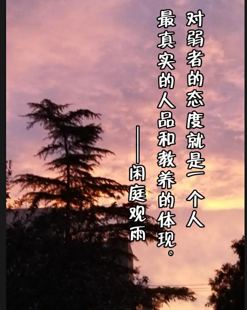 愚蠢的埋葬卡组_愚蠢的副葬_愚蠢的埋葬为什么被禁