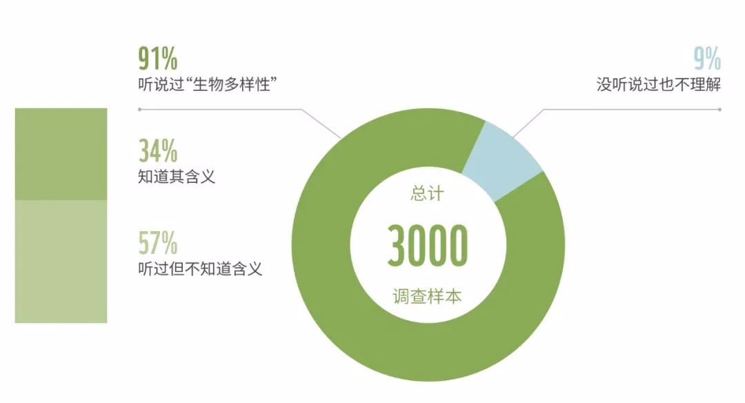 iframe加载完毕执行js_js加载完成事件_iframe加载完成事件