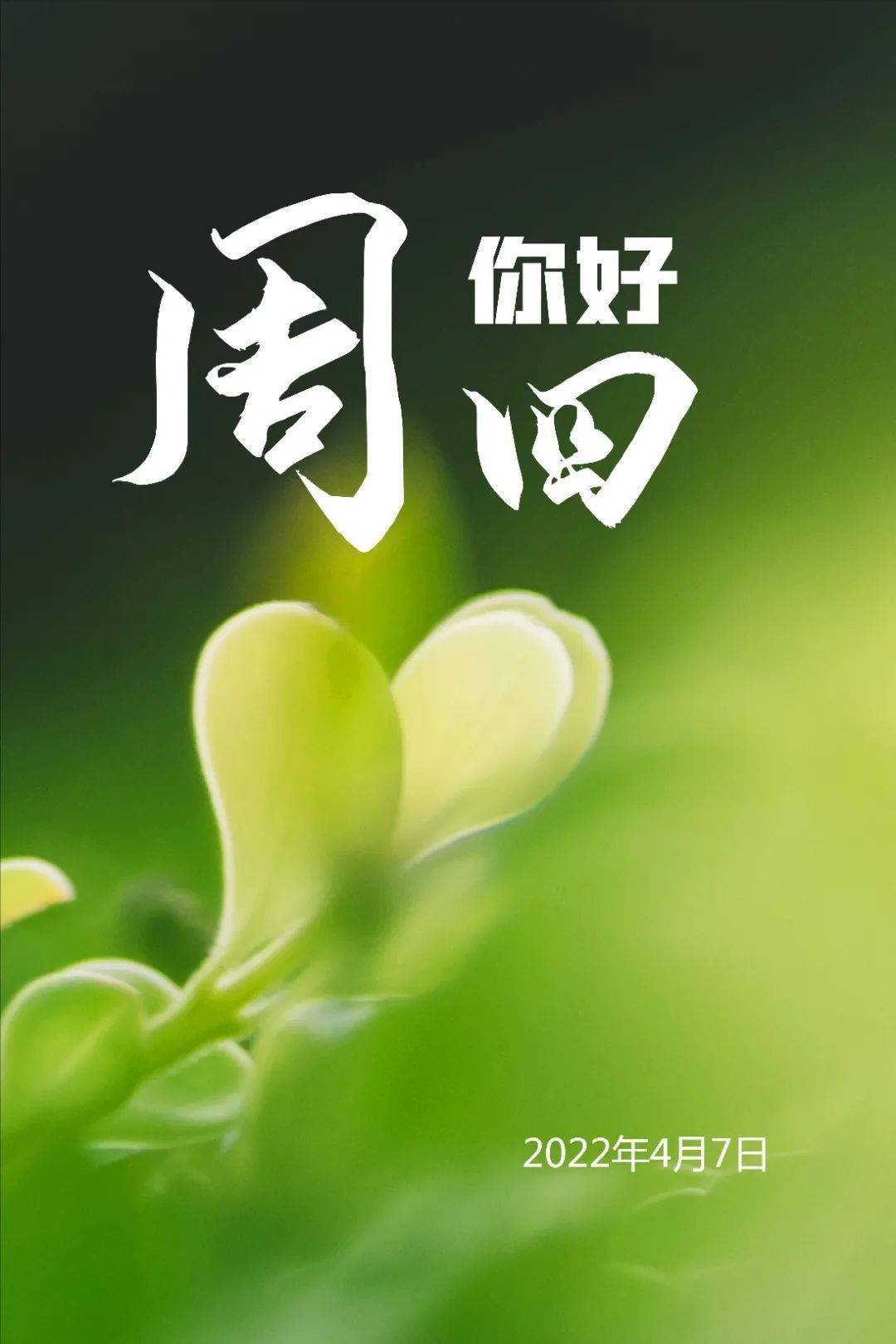 2021年子月是哪个月_2022年4月30日是什么日子_2022年的年月表