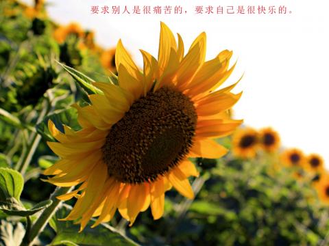 萨满鬼神传_鬼神传说_鬼神传