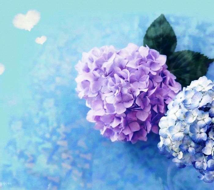 小潮院长_小潮_小潮院长之死