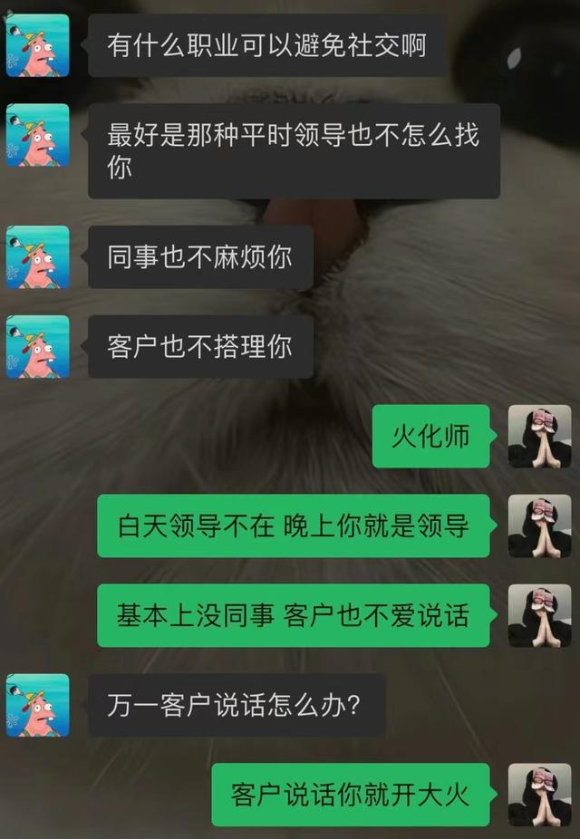 万万没想到免费观看完整版_鼠来宝4免费观看整版_芈月传完整版免费观看