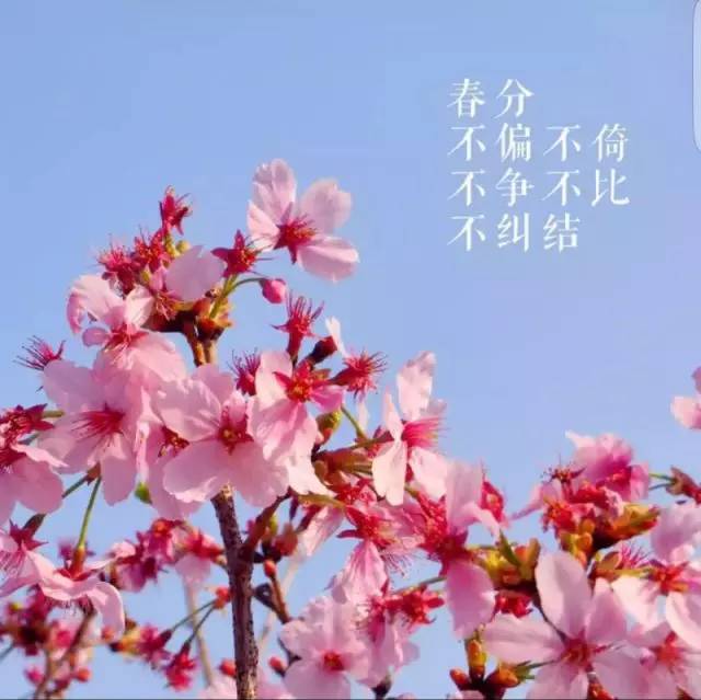 月亮的拼音_十一月十三_月经推迟不来什么原因