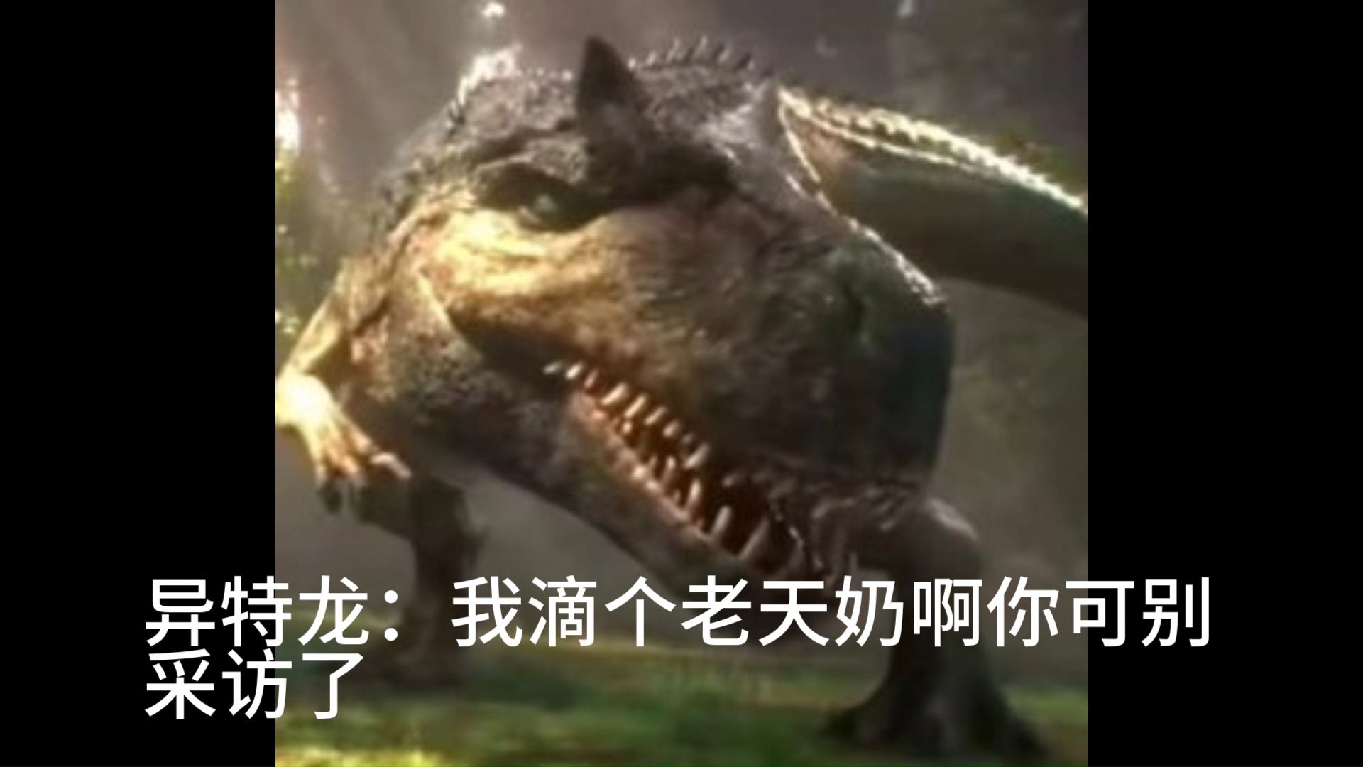 穿越火线手机版下载苹果版下载_小蓝视频苹果手机怎么下载_苹果6手机视频打不开怎么回事
