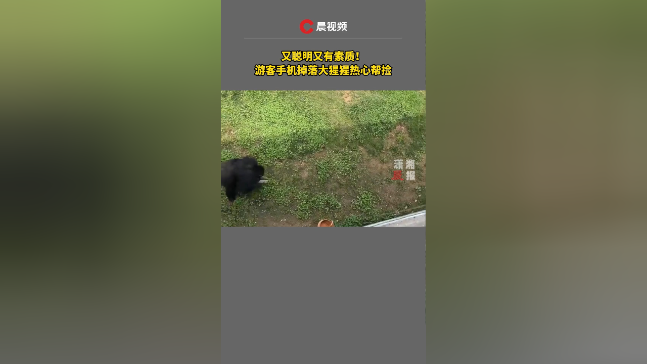 发布时间英文_4060系列显卡发布时间_4060发布时间
