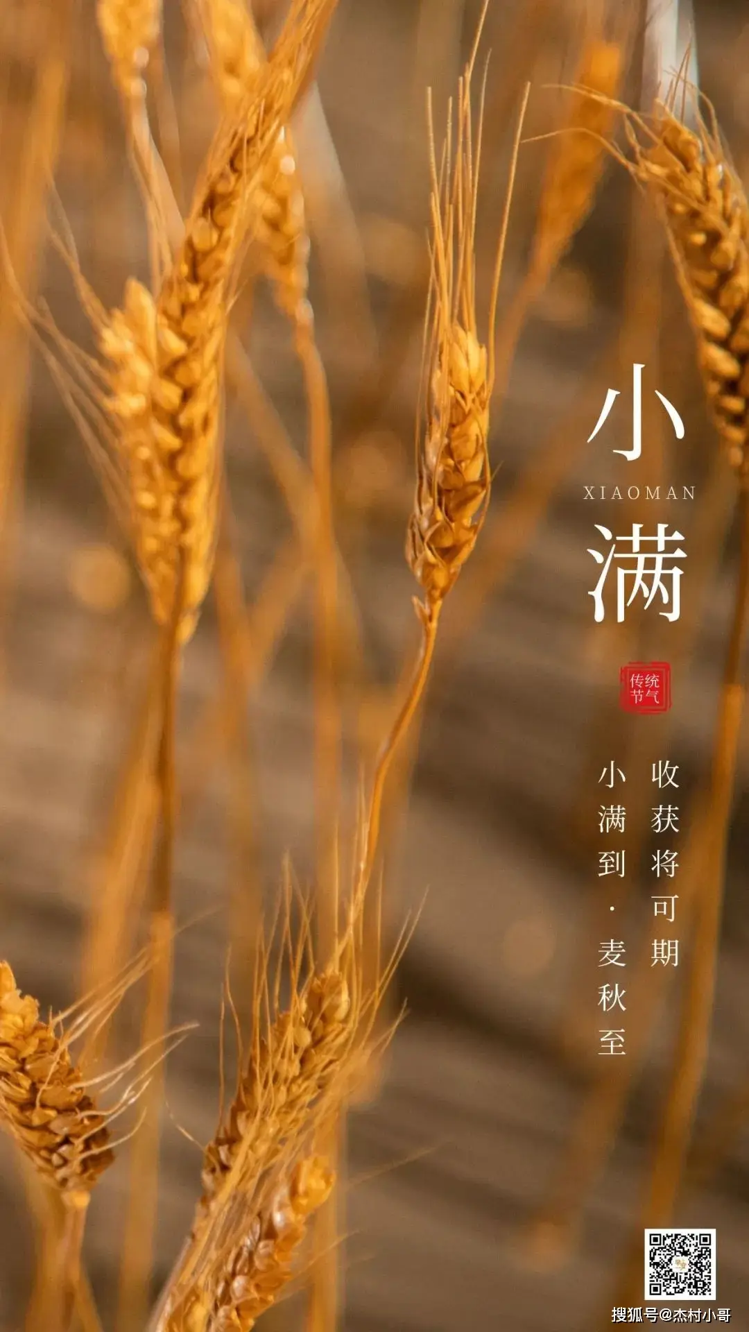 小满之后的下一个节气_二十四节气小满之后是什么_节气小满的来历