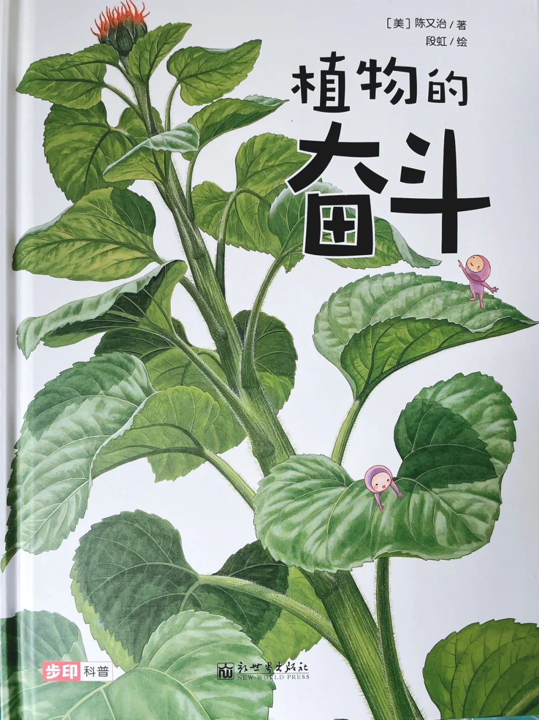 韩国电影王道_韩国电影王道_韩国电影王道