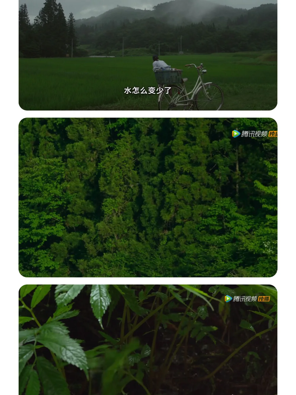 电影江湖笑傲版免费观看_笑傲江湖电影版_电影江湖笑傲版在线观看