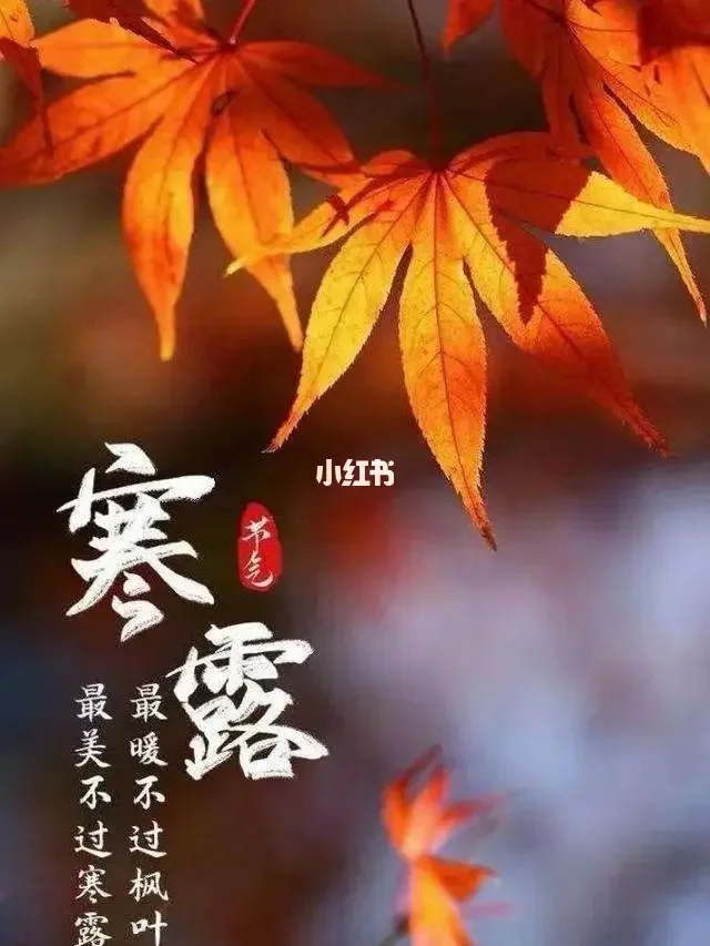 立冬2024_立冬2023的几月几日开始_2013立冬