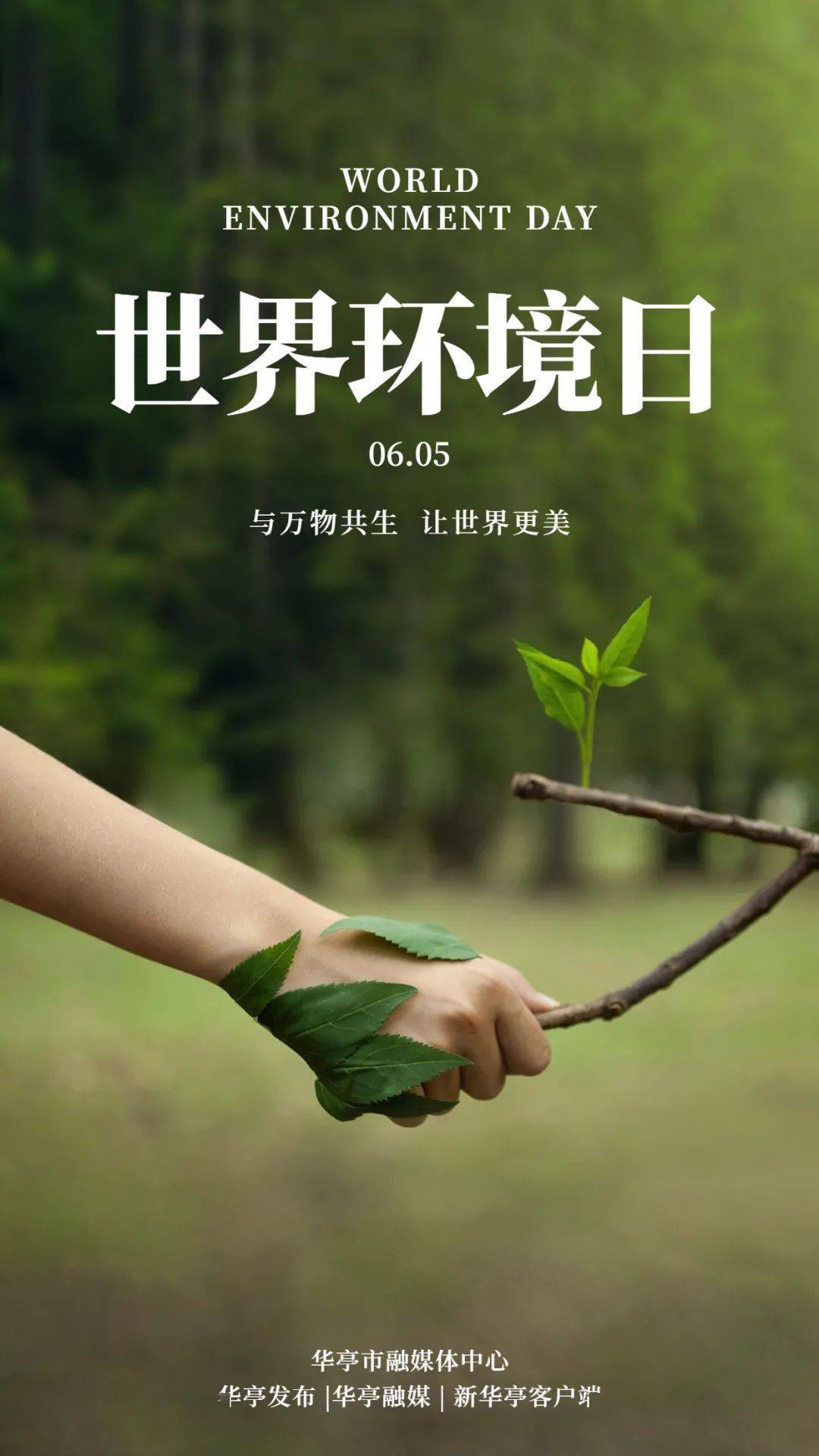 2020世界环境主题日主题_今年世界环境主题日的是什么_今年世界环境日的主题是什么