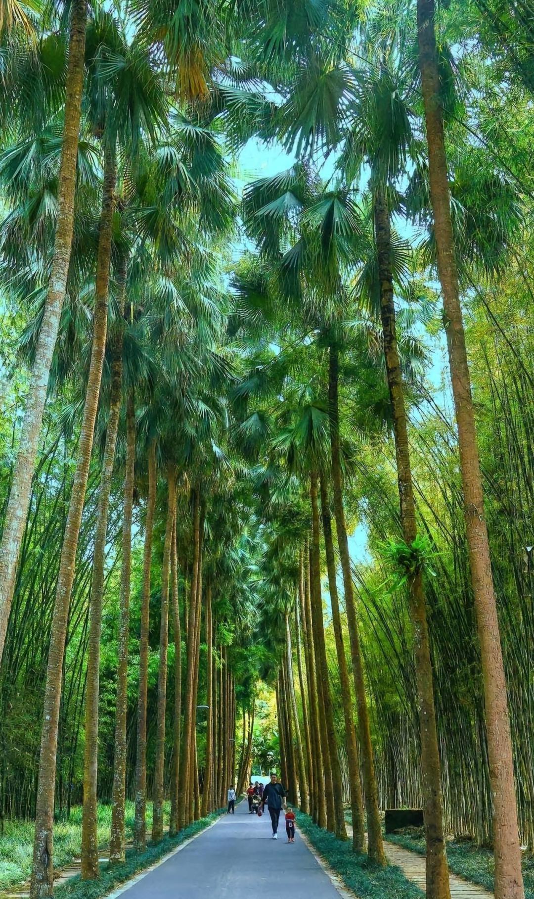 福葛_葛福柱_葛福顺的结局