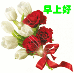 深雪龙鱼图片_千年深雪_深雪